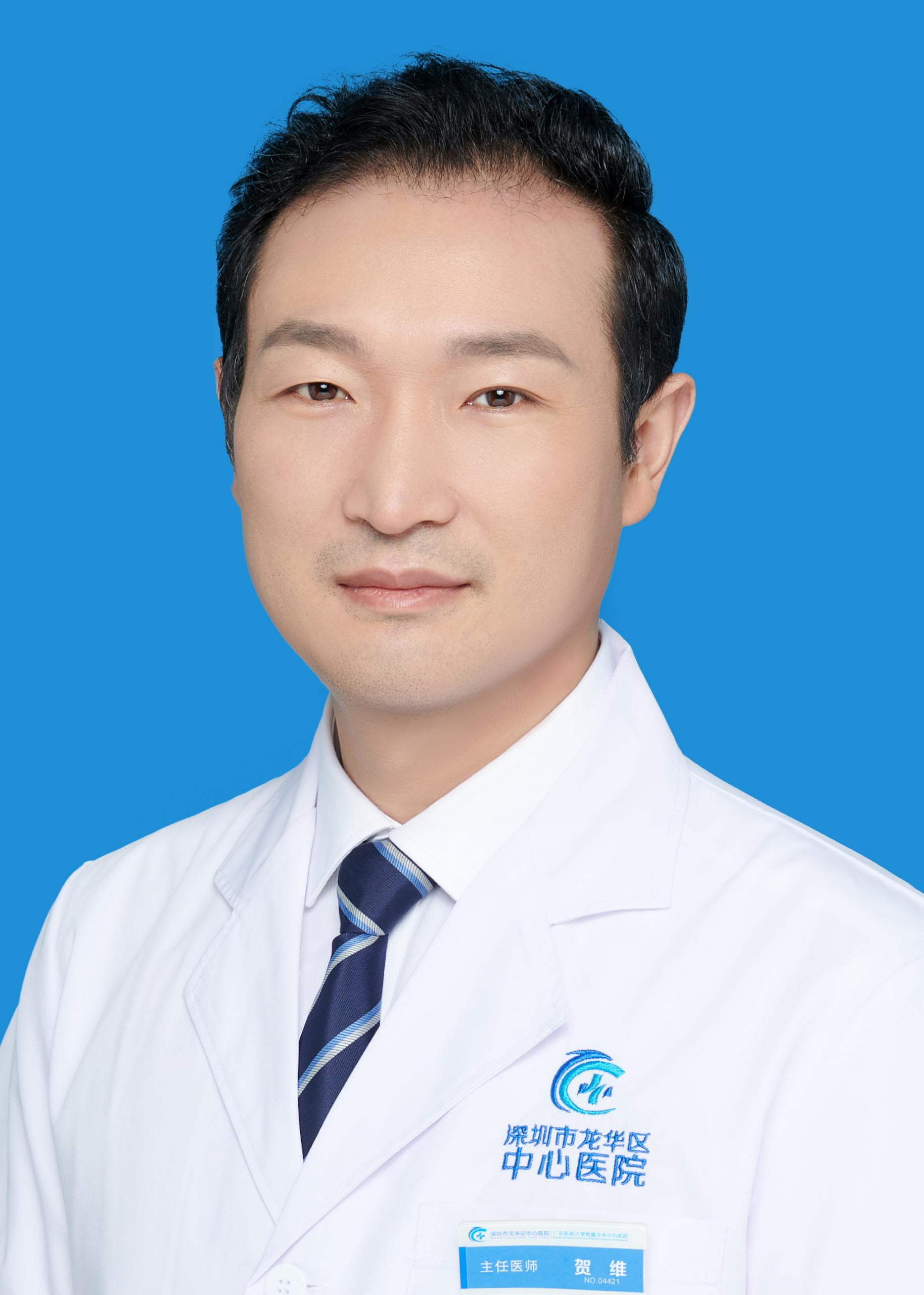 主任医师 贺维